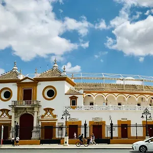 Santas Patronas Street Center Seville